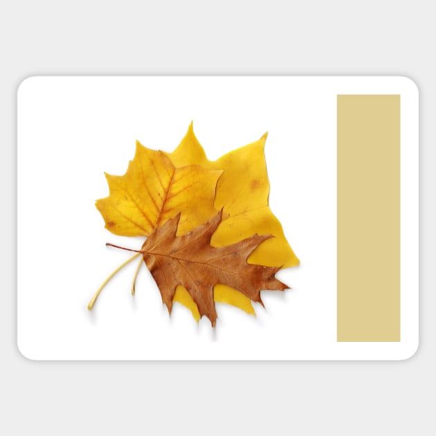 Autumn Leaves Sticker by LaurieMinor